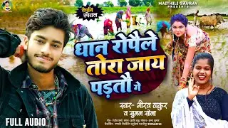 #गौरव_ठाकुर का धान रोपनी स्पेशल गाना 2024 | Dhan Ropele Tora Jaay Parto | धान रोपेले जाय परतों