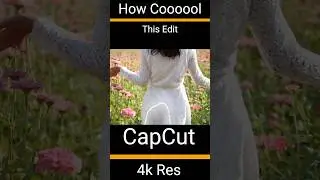 Creating Cinematic Masterpieces with Capcut 