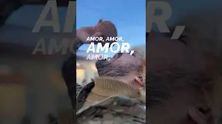 Ёкимли иштаха…