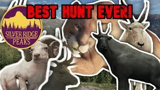 SUPER RARE bighorn? Diamond Mela GOATS!!! and other trophies on Mountain hunt