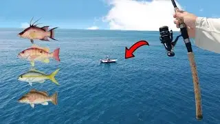 BEST Bait For Catching Any Type of SNAPPER!