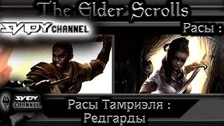 The Elder Scrolls|Расы Тамриэля: Редгарды(Лор)