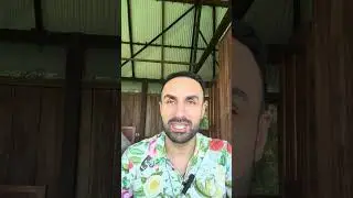 In my 2nd ayahuasca ceremony I finally managed to get out of my mind and into my heart/soul.