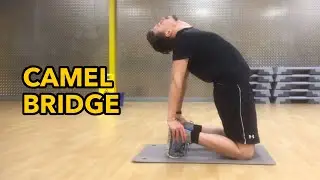 How To: Camel Bridge