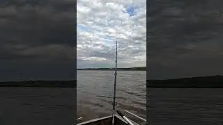 Поклёвка сома!!