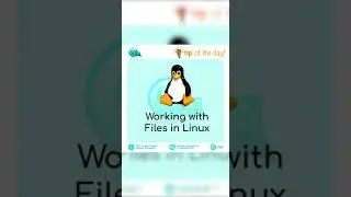 Tip of the day 💡 Working with Files in Linux | CSUP