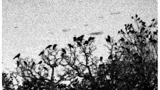 Ceschi - Bridge ft. Tommy V