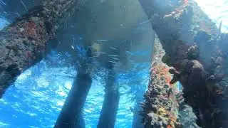 Salt Pier Bonaire