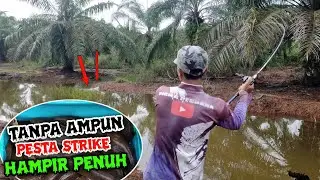 GARA GARA KETEMU SARANGNYA❗TEMPAT IKAN HAMPIR PENUH // CASTING IKAN GABUS