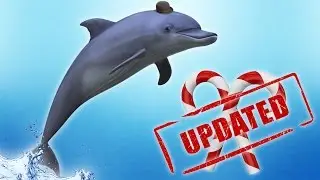 Dolphins and Updates