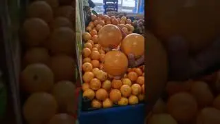+992900004489 ватсап. ниҳоли апелсин. +992900004489