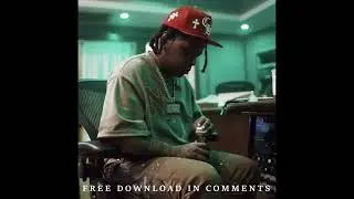 (FREE) [SAMPLE] NoCap x Rylo Rodriguez Type Beat - 