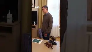 Чому Дмитро Кулеба дуже любить слонів? | Мосейчук + Кулеба