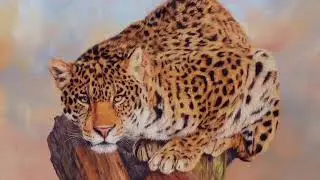 Liszt - Transcendental Etude No. 8 "Wild Jagd"