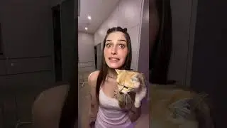 The kitten tries Dubai chocolate