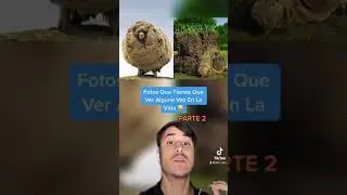 Fotos Que Tienes Que Ver Alguna Vez En La Vida Parte 2 😮 