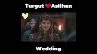 Ertugrul Ghazi Urdu | Episode 17| Season 4 | Best scene of season 4 | Turgut❤️Aslihan wedding