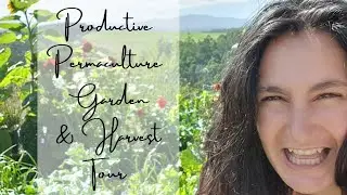 Productive Permaculture Garden And Harvest Tour  #permaculture #gardentour #harvest #gardenharvest