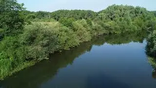 Пролетная рыбалка, в прямом и переносном смысле.