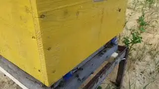 Ждем и кормим.
