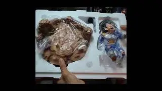 Show Time Studio Vegeta Battle Damaged Unboxing picture GK RESIN #shorts