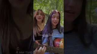 Ой у лузі червона калина (кавер дует «Крила»)