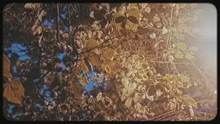 НЕВАЖНО (IRL TEST)