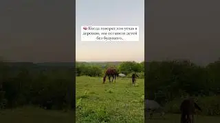 Ничего не говори…❤️#краснодарскийкрай #деревня #жизньвдеревне #изгородавдеревню #shorts #жизнь