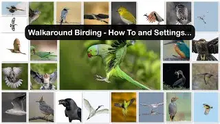 Walk-around Birding - How To and Settings...
