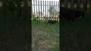 15 июня 2023 г.