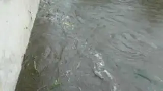 Povodně Rumburk - 7.8.2010
