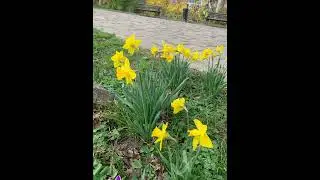 С #8марта нас ,#девочки ! Всем любви, весны, счастья и красоты !  #хочубытьсчастливой