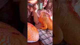 🧡 
