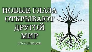 Новые Глаза Открывают Другой Мир