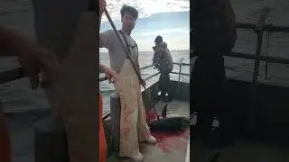 finally on the boat part 3