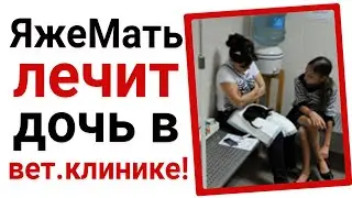Яжемать лечит дочку в вет.клинике!