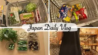 make cold dishes for summer, shopping at goodies store and Korean market | living in japan