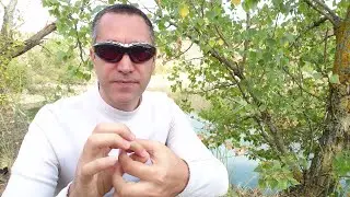 #73 Вживую / О Космосе и его Создателе