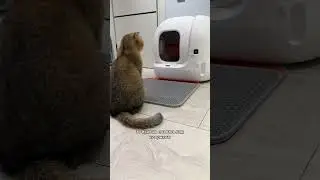 Лоточек сломался
