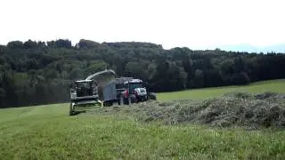 Silieren 3 Schnitt 006