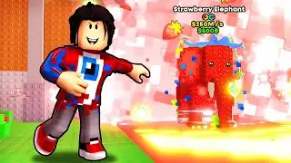 😱I Got MY OWN STRAWBERRY ELEPHANT 250M/S Brainrot in Steal a Brainrot!