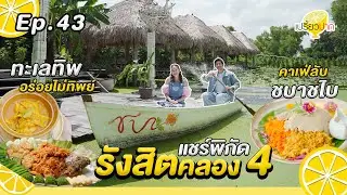 รังสิตคลอง4 อร่อยไม่มีเบื่อ l Ep. 43| 26 ต.ค. 67 l ชบา ชไบ คาเฟ่ส l ทะเลทิพ l ตำต่อ