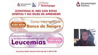¿Cómo se usa la cámara de Neubauer?