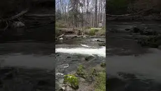 🌊 Need a few seconds to relax? Hopefully this helps 🤞🏻#naturelovers #natureasmr #soundsofnature