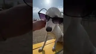 строим глазки