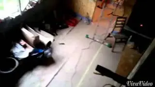 Алина подарила мне видео!