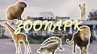 Сходила в зоопарк!