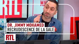 Cas de gale en France : pourquoi elle fait son retour