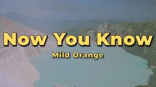 Mild Orange - Now You Know (Lyrics)