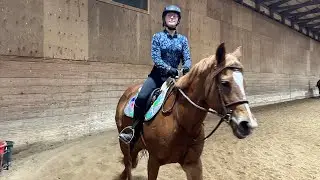 Going to the Olympics in the Hunter ring in my totally approved saddle pad